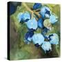 Blueberries 1-Stellar Design Studio-Stretched Canvas