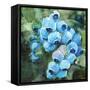 Blueberries 3-Stellar Design Studio-Framed Stretched Canvas