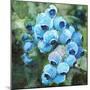 Blueberries 3-Stellar Design Studio-Mounted Art Print