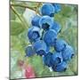 Blueberries 4-Stellar Design Studio-Mounted Art Print