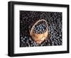 Blueberries at Market for Sale, Helsinki, Finland-null-Framed Photographic Print