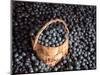 Blueberries at Market for Sale, Helsinki, Finland-null-Mounted Photographic Print