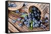 Blueberries Have Dropped from the Basket on an Old Wooden Table.-Volff-Framed Stretched Canvas