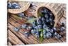 Blueberries Have Dropped from the Basket on an Old Wooden Table.-Volff-Stretched Canvas