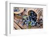 Blueberries Have Dropped from the Basket on an Old Wooden Table.-Volff-Framed Photographic Print