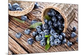 Blueberries Have Dropped from the Basket on an Old Wooden Table.-Volff-Mounted Photographic Print