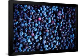 Blueberries II-Peter Morneau-Framed Art Print