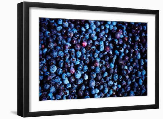 Blueberries II-Peter Morneau-Framed Art Print