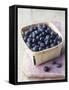 Blueberries in a Punnet-Philip Webb-Framed Stretched Canvas