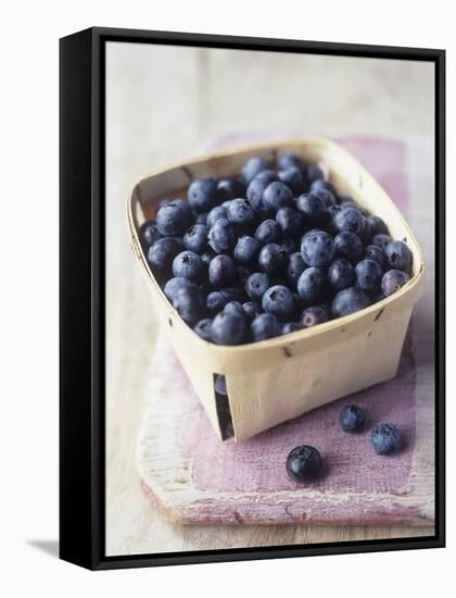 Blueberries in a Punnet-Philip Webb-Framed Stretched Canvas