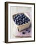 Blueberries in a Punnet-Philip Webb-Framed Photographic Print