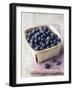 Blueberries in a Punnet-Philip Webb-Framed Photographic Print