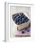 Blueberries in a Punnet-Philip Webb-Framed Photographic Print