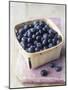 Blueberries in a Punnet-Philip Webb-Mounted Photographic Print