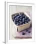Blueberries in a Punnet-Philip Webb-Framed Photographic Print