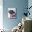 Blueberries in a Punnet-Philip Webb-Mounted Photographic Print displayed on a wall