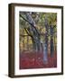 Blueberries in Oak-Hickory Forest in Litchfield Hills, Kent, Connecticut, USA-Jerry & Marcy Monkman-Framed Photographic Print