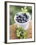 Blueberries in Plastic Tub-null-Framed Photographic Print