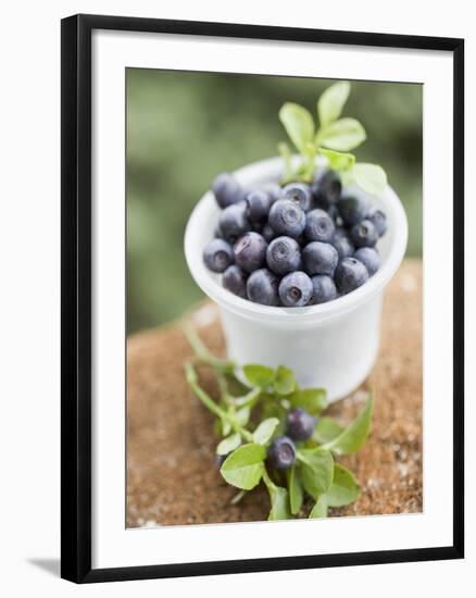 Blueberries in Plastic Tub-null-Framed Photographic Print