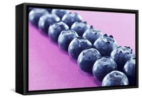 Blueberries in Rows (Close-Up)-Kröger and Gross-Framed Stretched Canvas