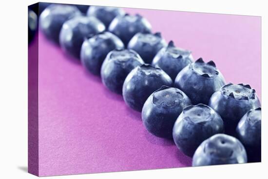 Blueberries in Rows (Close-Up)-Kröger and Gross-Stretched Canvas