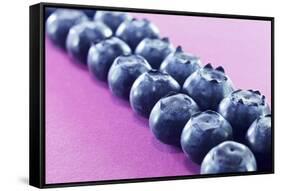 Blueberries in Rows (Close-Up)-Kröger and Gross-Framed Stretched Canvas