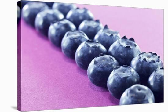 Blueberries in Rows (Close-Up)-Kröger and Gross-Stretched Canvas