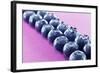 Blueberries in Rows (Close-Up)-Kröger and Gross-Framed Photographic Print