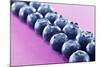 Blueberries in Rows (Close-Up)-Kröger and Gross-Mounted Photographic Print