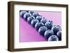 Blueberries in Rows (Close-Up)-Kröger and Gross-Framed Photographic Print