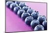 Blueberries in Rows (Close-Up)-Kröger and Gross-Mounted Photographic Print