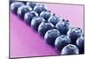 Blueberries in Rows (Close-Up)-Kröger and Gross-Mounted Photographic Print