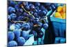 Blueberries-null-Mounted Poster