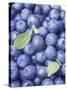 Blueberries-Vladimir Shulevsky-Stretched Canvas