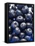 Blueberries-Jon Stokes-Framed Stretched Canvas