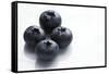 Blueberries-Jon Stokes-Framed Stretched Canvas