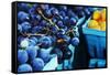 Blueberries-null-Framed Stretched Canvas