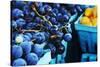 Blueberries-null-Stretched Canvas