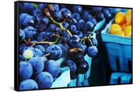 Blueberries-null-Framed Stretched Canvas