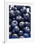 Blueberries-Jon Stokes-Framed Photographic Print