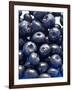 Blueberries-Jon Stokes-Framed Photographic Print