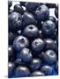 Blueberries-Jon Stokes-Mounted Photographic Print