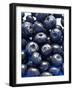 Blueberries-Jon Stokes-Framed Photographic Print