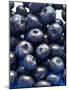 Blueberries-Jon Stokes-Mounted Photographic Print