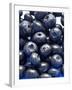 Blueberries-Jon Stokes-Framed Photographic Print