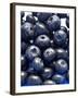 Blueberries-Jon Stokes-Framed Photographic Print