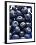 Blueberries-Jon Stokes-Framed Photographic Print