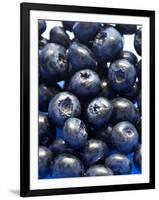 Blueberries-Jon Stokes-Framed Photographic Print