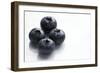 Blueberries-Jon Stokes-Framed Photographic Print