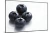 Blueberries-Jon Stokes-Mounted Photographic Print